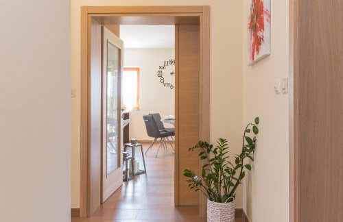 Villa Zorica - Foto 16