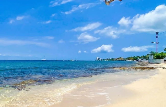Casa de 3 recamaras frente al mar de Cozumel - Foto 19