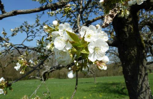 Appartment Schlossblick - Foto 15