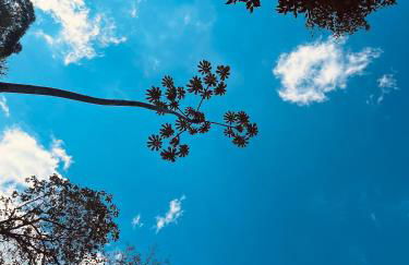 Domo de Luxo com Jacuzzi e Vista Panorâmica - Foto 31