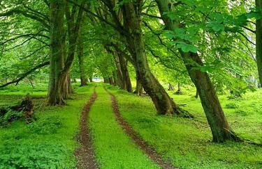 Ferienwohnung Daliah - Foto 10