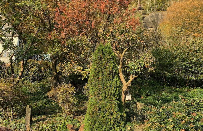 Ferienhaus Elbufer 83 - Foto 44