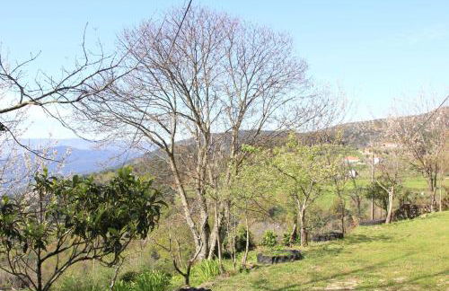 Ponte de Lima- Turismo rural - Aldeias de Portugal - Foto 6