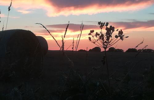 Gîte Ti-Gwennel - Photo 35