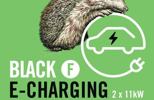 Black F Tower - Serviced Apartments - Foto 78