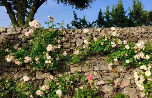 Villa Paradiso,stunning views ac heated pool - Foto 19