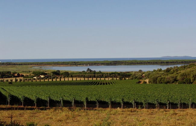 Agriturismo Fattoria Il Casalone - Foto 33