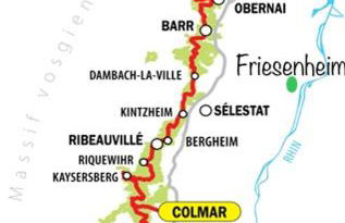 Sollaris Appartements RDC à 11km de Europa-Park - Photo 26