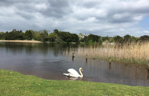 Oak Tree Cottage, Charming, Rural New Forest Home - Foto 59