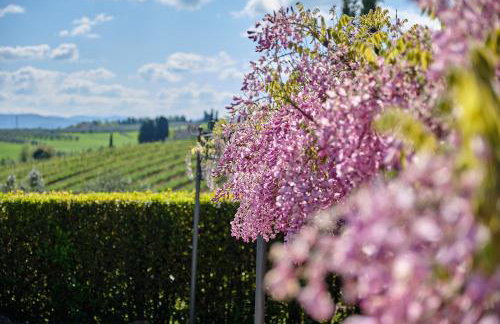 I Glicini - Casa vacanze con piscina in Toscana a 30' da Firenze - Photo 12