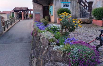 Le Zie Valdilana - Foto 23