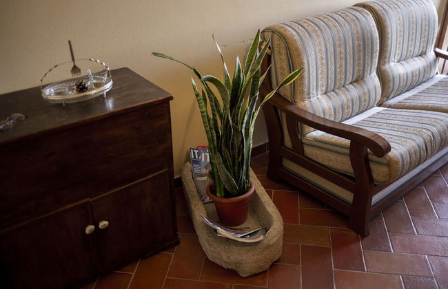 Agriturismo La Coppa - Foto 25