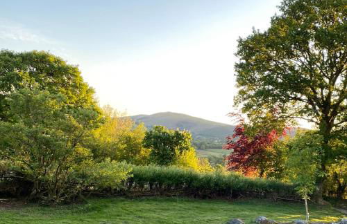 Cae'r Beili - Photo 25