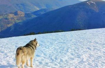 Logement 6 pers au cœur des montagnes pyrénéennes linge de maison et papier toilette non fournis - Foto 38