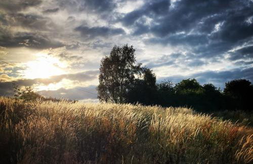 New Elms Farmhouse - Foto 53