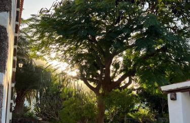 Finca Exclusiv LA MAreta - Foto 19