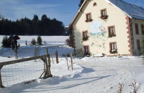 Les Pruniers - Orbey - Foto 8