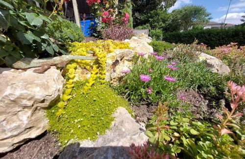 Ferienwohnung Pension Waldblick - Foto 45