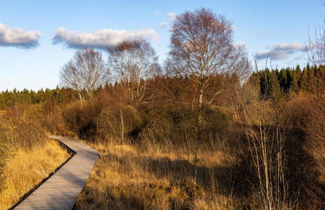 Cosy, 1800 Farmhouse With Sauna - Foto 36