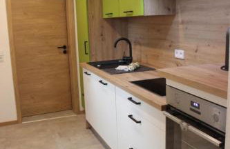 Apartment Ferienapartment Horn by Interhome - Foto 9