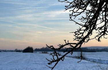 Lovely room in a 18th century manor - Foto 28