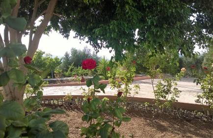 House of Polymnia - Photo 27