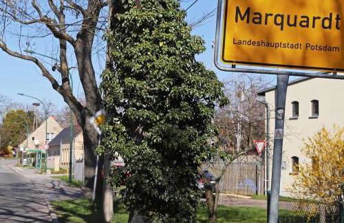 Ferienwohnung am Schlosspark - Foto 10