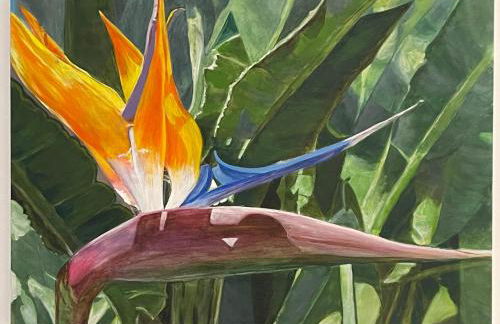 Casa Las Olas - Foto 27