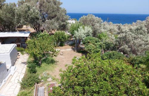 Santa Rosa house - Foto 28