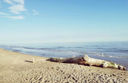 Camargue - La Saline Forézienne - Salin-de-Giraud - Foto 52