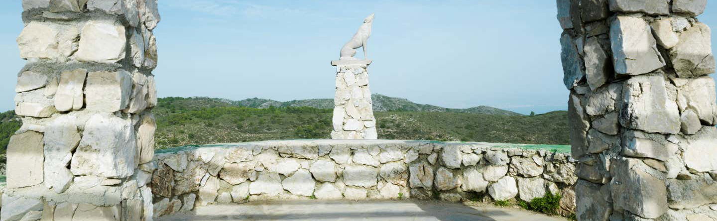 Tour della Cañada del Lobo in bici elettrica
