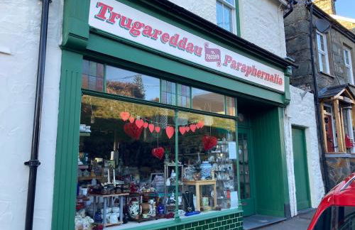 Harlech castle and beach home - Foto 35