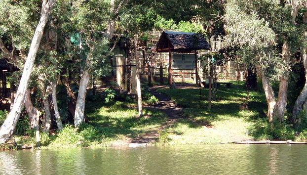 Parque Ivoloina y Visita a la Ciudad - Foto 4