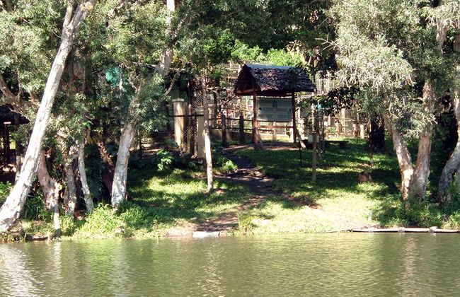 Parque Ivoloina y Visita a la Ciudad - Foto 4