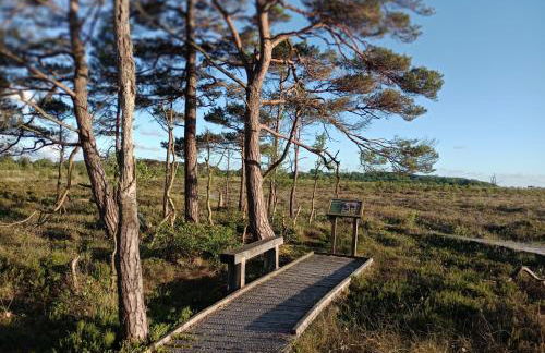 Sunnyside Farm - Foto 7