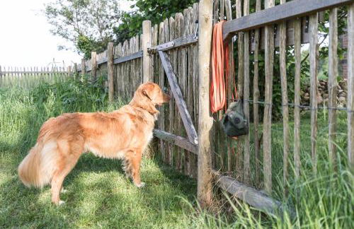 Fachwerk-Treppenspeicher, Ruhe auf dem Land, Haustiere willkommen, Leihfahrräder, 24-7 check in - Foto 48