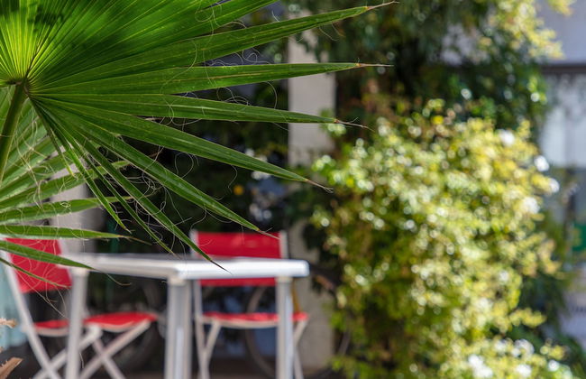 Paradise Departamentos - Foto 6