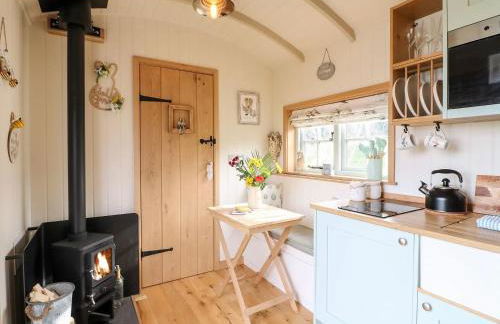 Shepherd's Hut- Hot Tub- Wellness Spa- Wood Burner - Foto 46