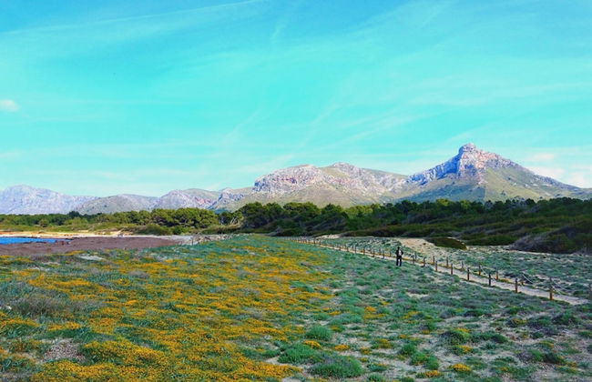 Sestanyol in Urbanitzaci s Estanyol - Photo 3