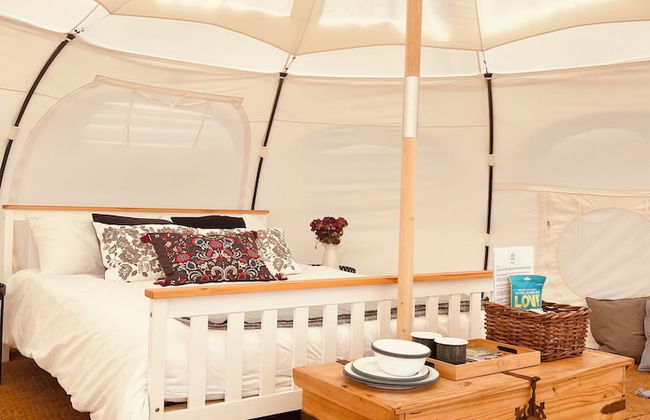 Nest and Nurture - Photo 29