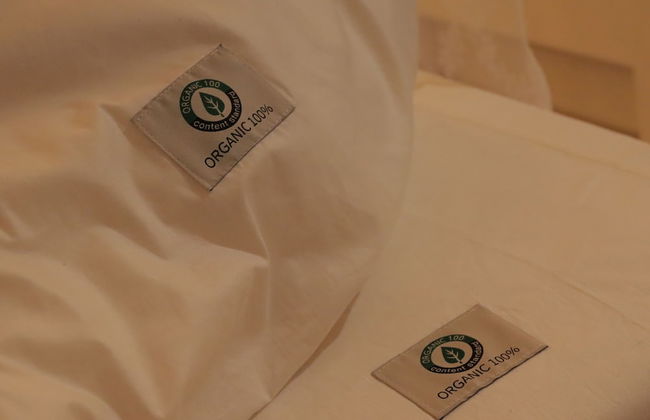 Morning Madrid - Foto 18