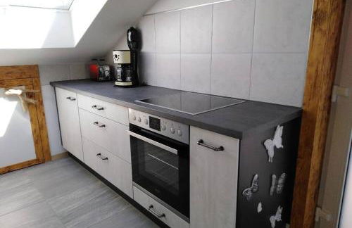 Komplette Dachwohnung mit Balkon und Bergblick - Foto 13