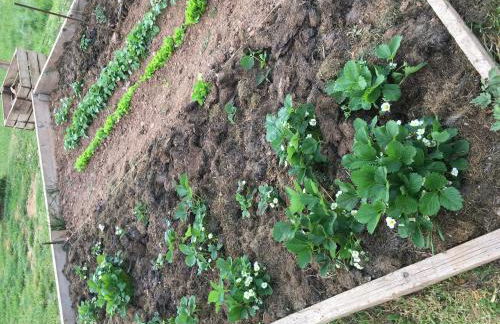 Clos du Bannet Family Escape - Foto 17