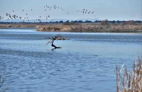 Apto. Singular en la Mancha Banco de Inversiones - Photo 33