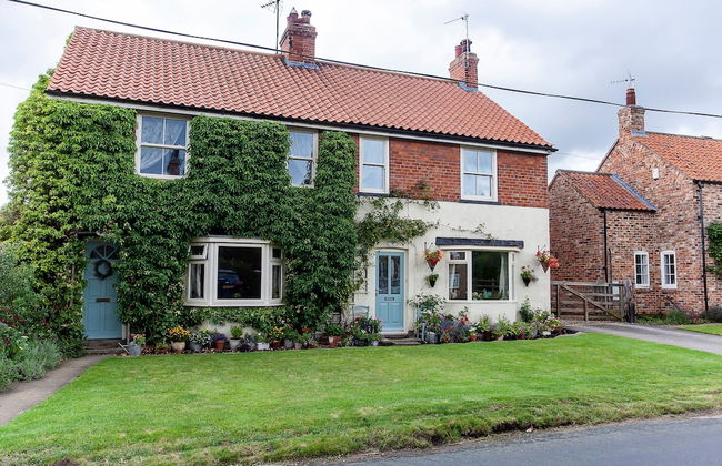 The Cherries - Photo 33