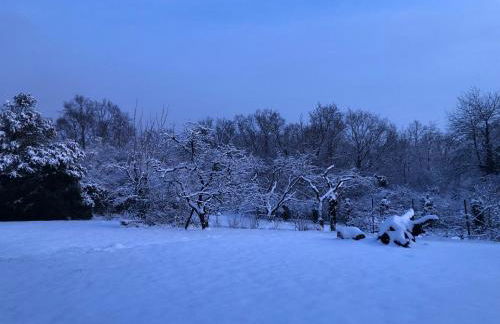 Über den Dächern von Koblenz - Aussichts-Wohnung Naturpark Rheinblick, ruhig, zentrumsnah, Sport-Pool - Foto 13