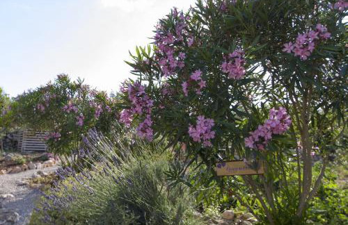 Apartments Villa Olea - Foto 108