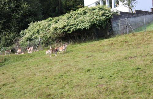 Villa-Maru 80qm Ferienwohnung - Foto 42