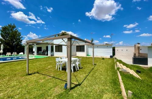 OLE TÚ ANDALUCIA - Foto 7