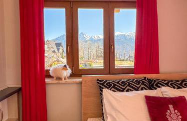 Willa Chrycówka - Jacuzzi, Basen, Sauna - Foto 23